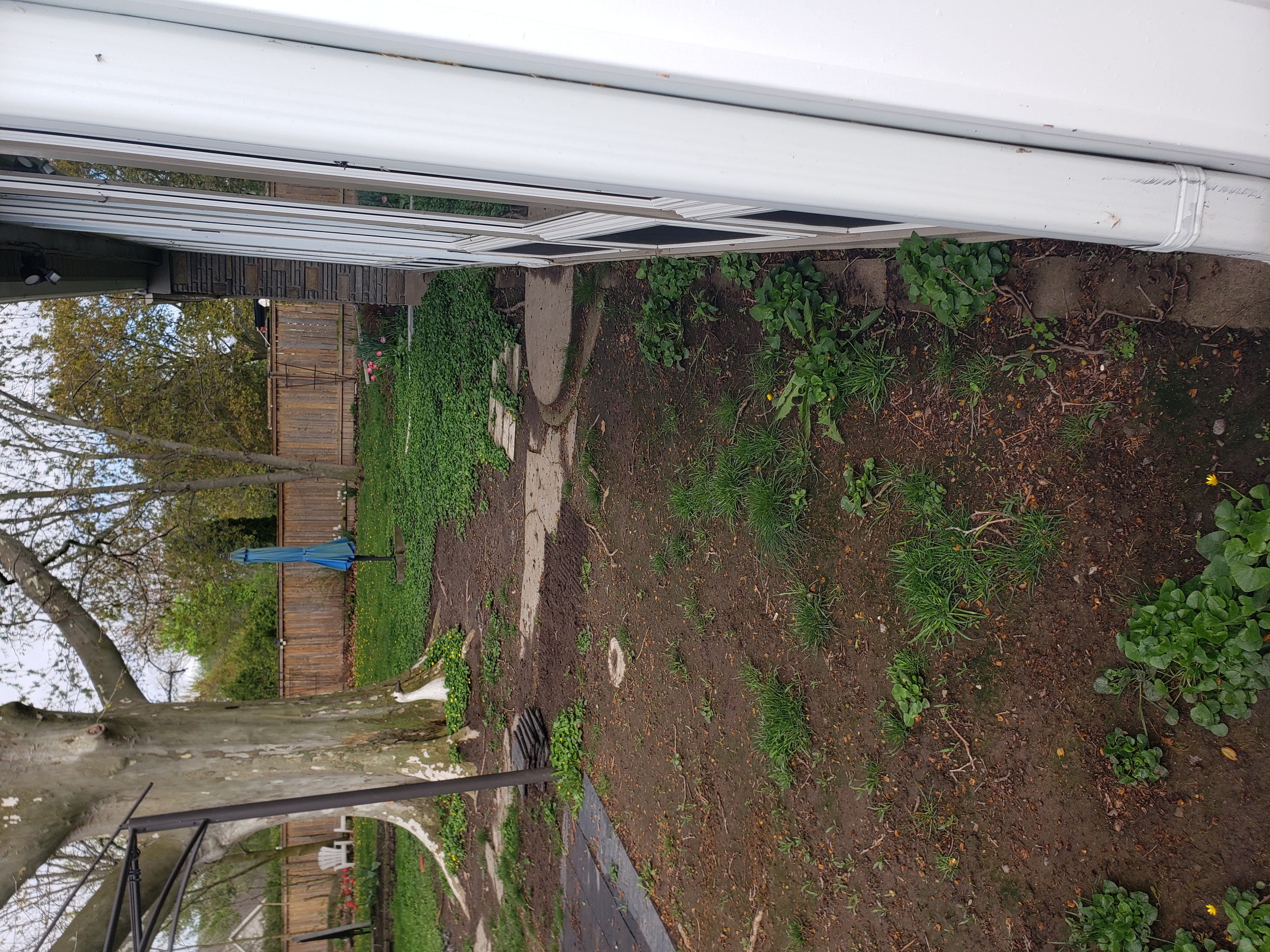 Project Image 4