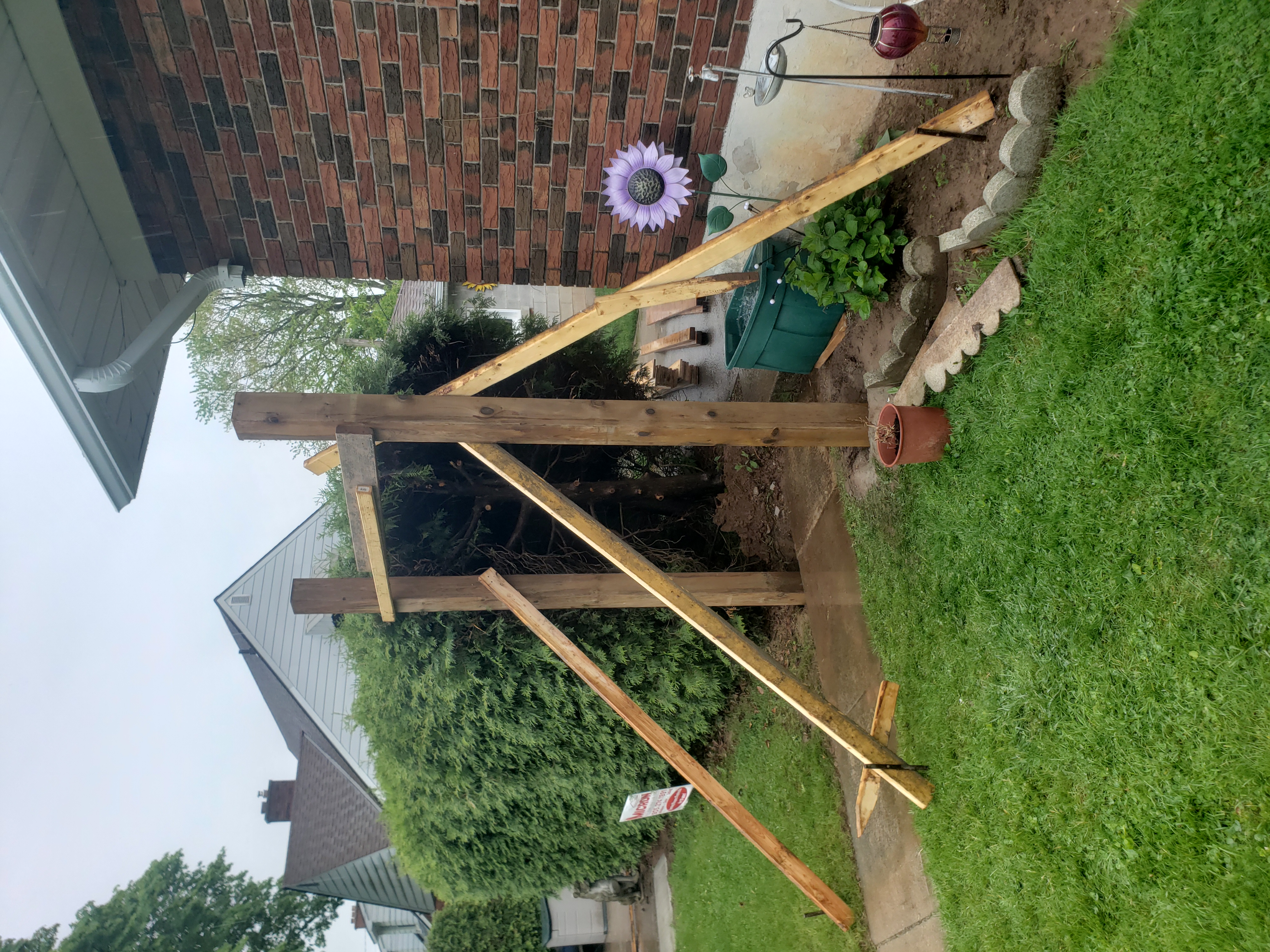 Project Image 6